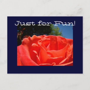 Tarjetas postales personalizadas Flores de Rosa RO