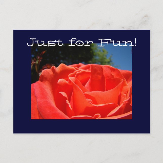 Tarjetas postales personalizadas Flores de Rosa RO (Anverso)