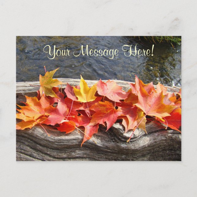 Tarjetas postales personalizadas Hojas de otoño na (Anverso)