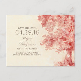 tarjetas postales vintage de árbol viejo pintado p