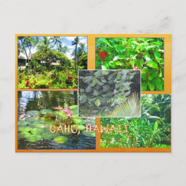 TARJETAS POSTCARDS personalizado- COLAGA HAWAII# 1 (Anverso)