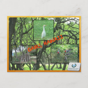 TARJETAS POSTCARDS personalizado- COLAGA HAWAII# 1