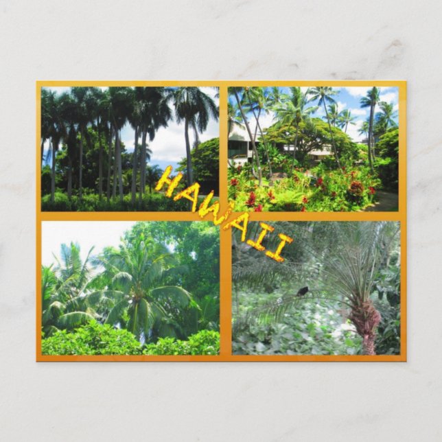 TARJETAS POSTCARDS personalizado- COLAGA HAWAII# 2 (Anverso)