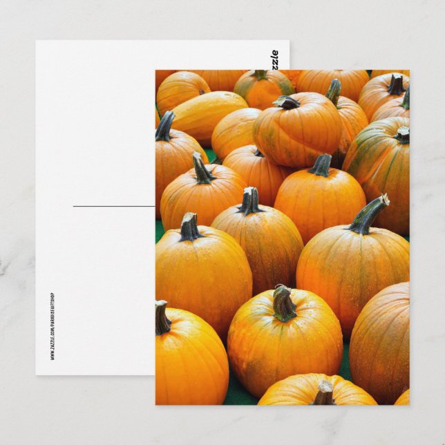 TARJETAS POSTERIORES DE LA COSECHA OTOÑO DE LAS PU (Anverso / Reverso)