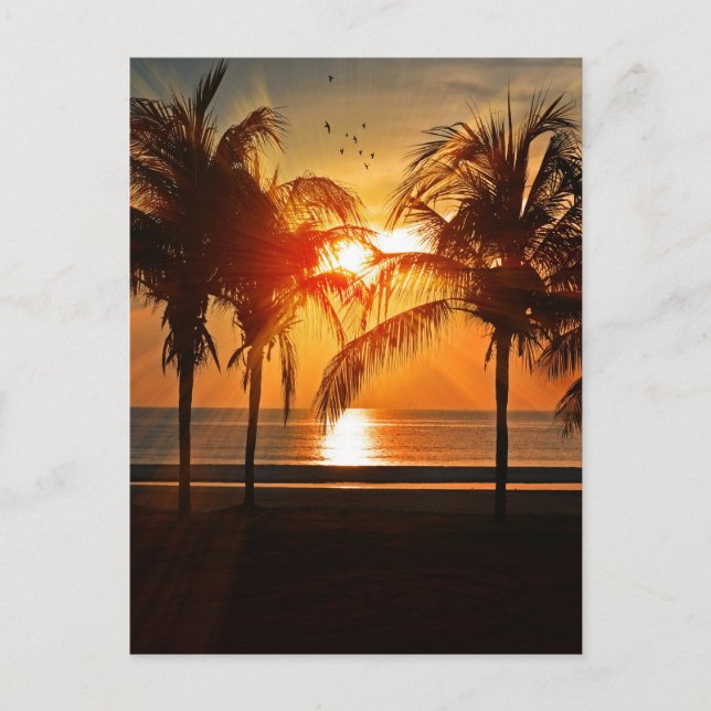 TARJETAS POSTSET TROPICAL BEACH SUNSET (Anverso)