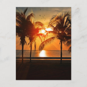 TARJETAS POSTSET TROPICAL BEACH SUNSET