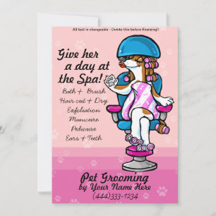 Tarjetas publicitarias de preparación de perros pr