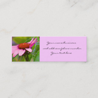 Tarjetas púrpuras del perfil de Coneflower