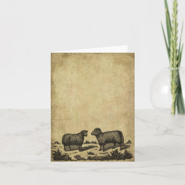 Tarjetas remilgadas de las ovejas y de una nota (Anverso)