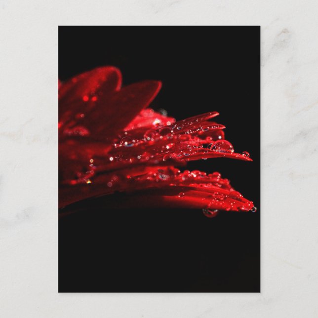 Tarjetas rojas de oro… (Anverso)