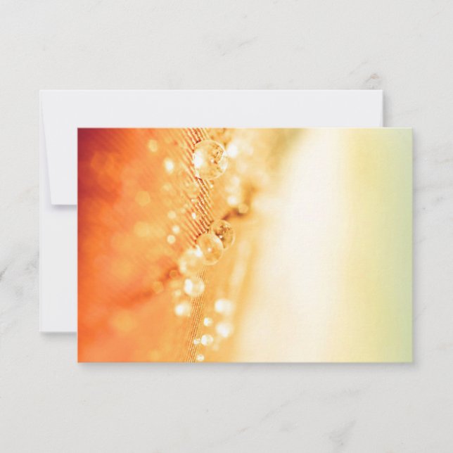 Tarjetas RSVP de boda (Anverso)