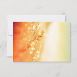 Tarjetas RSVP de boda