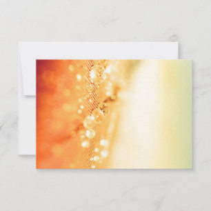 Tarjetas RSVP de invitaciones y presentaciones