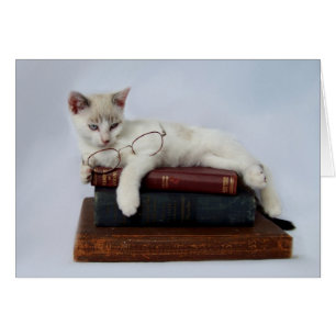 Tarjetas salvajes del gatito de septiembre