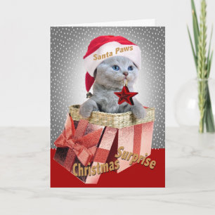 Tarjetas sorpresa para Navidades de Kitten británi
