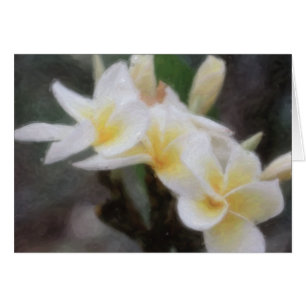 Tarjetas tropicales hawaianas del Plumeria