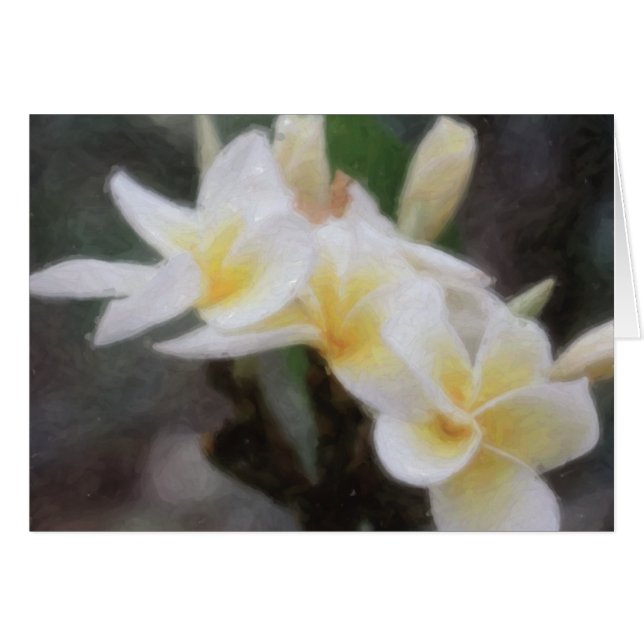 Tarjetas tropicales hawaianas del Plumeria (Anverso (Horizontal))