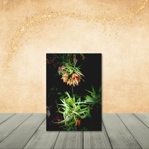 Tarjetas únicas de notas de flor de estilo imperia