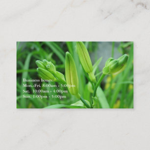 Tarjetas verdes para los amantes de la naturaleza.