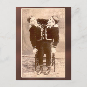 Tarjetas Vintage y Postales Gemelas Conjuntas