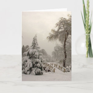 Tarjetas Winter Wonderland Tarjetas Seasons Greeti