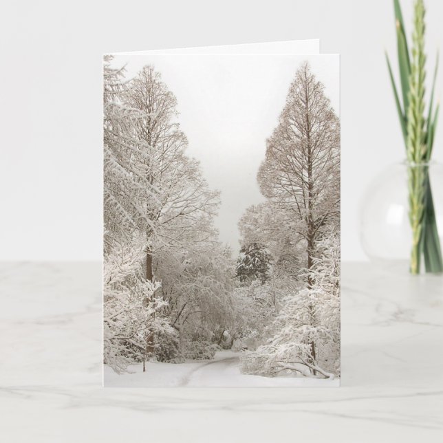 Tarjetas Winter Wonderland Tarjetas Seasons Greeti (Anverso)