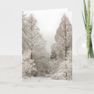 Tarjetas Winter Wonderland Tarjetas Seasons Greeti