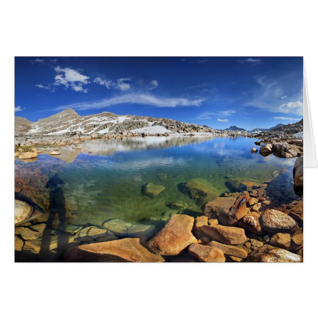 Tarn de oso negro - Sierra (Anverso (Horizontal))