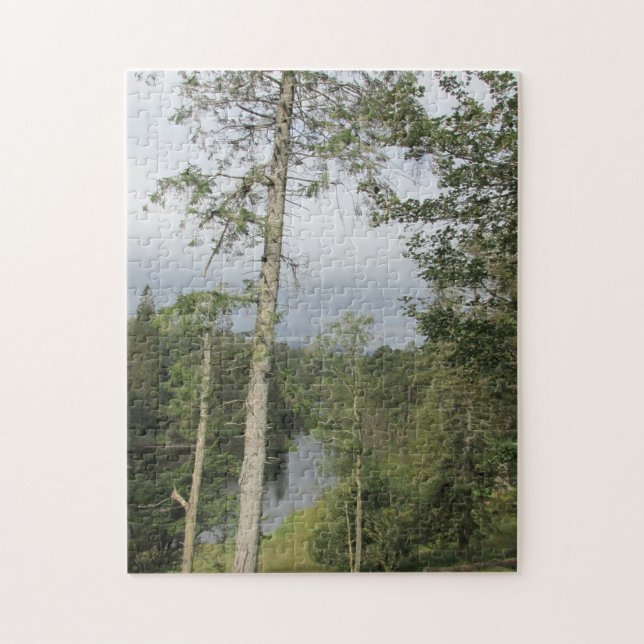 Tarn Hows Trees Jigsaw Puzzle (Vertical)