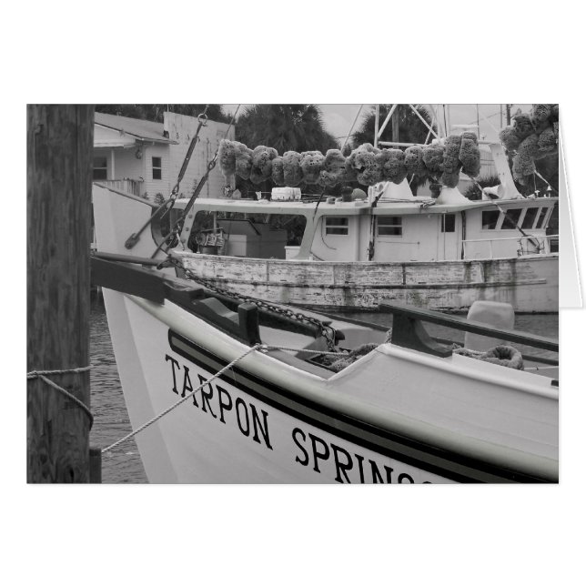 Tarpon (Anverso (Horizontal))