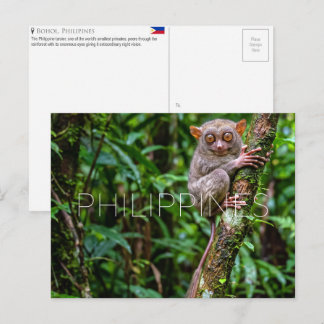 Tarsier en Bohol, Filipinas Tarjeta postal de viaj