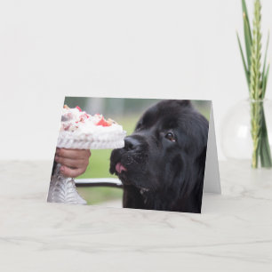 Tarta de cumpleaños y tarjeta de perro