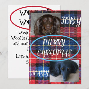 Tartan Feliz Navidad Duo de Mascotas Cuadros Azule