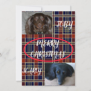 Tartan Feliz Navidad Duo Plaid de Mascotas