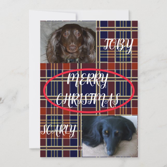 Tartan Feliz Navidad Duo Plaid de Mascotas (Anverso)