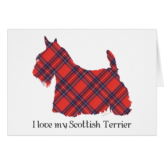 Tartan Stewart Terrier Escocés (Anverso (Horizontal))