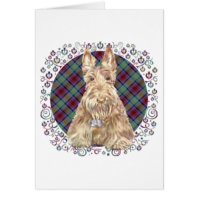 Tartan Wheaten Scottie (Frente)