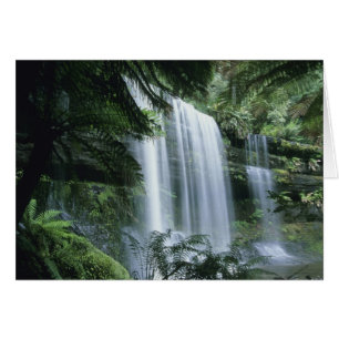 Tasmania, Parque Nacional Mt. Field, Russell Falls