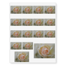 COLECCIÓN DE BODAS ROSAS CREME