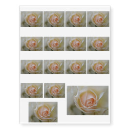TATUAJES TEMPORALES COLECCIÓN DE BODAS ROSAS CREME