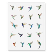 Colibrí