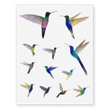 Colibrí Temporal