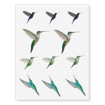 Colibrí Temporal