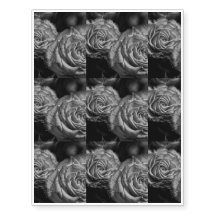 Rosas blancos y negros