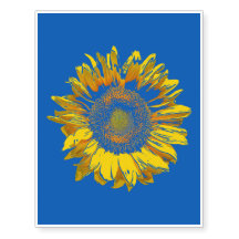 Sunflower brillante y glorioso