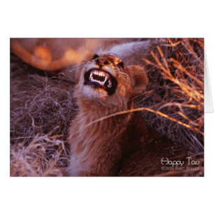 Tau Feliz, Sonriente Cubo de León
