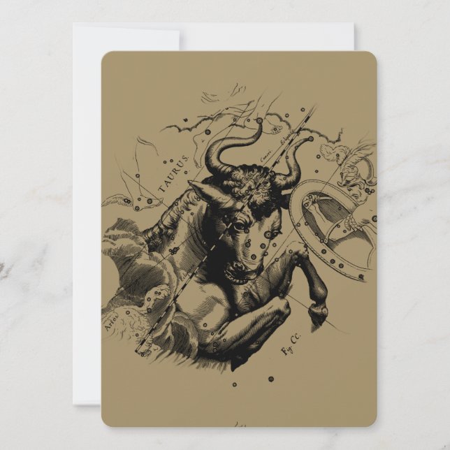 Taurus Constellation Hevelius 1690 Grabado (Anverso)