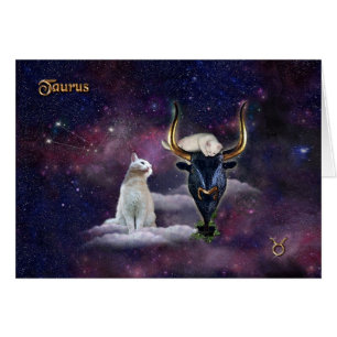 Taurus para los amantes del gato