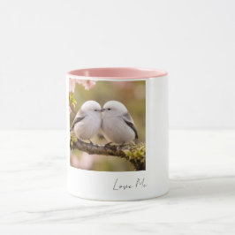 Taza