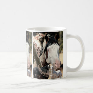 Taza
